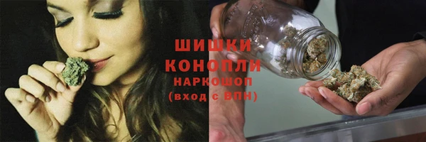 шишки Алзамай