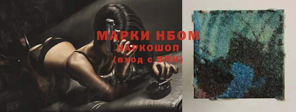 шишки Алзамай