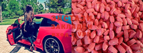 шишки Алзамай