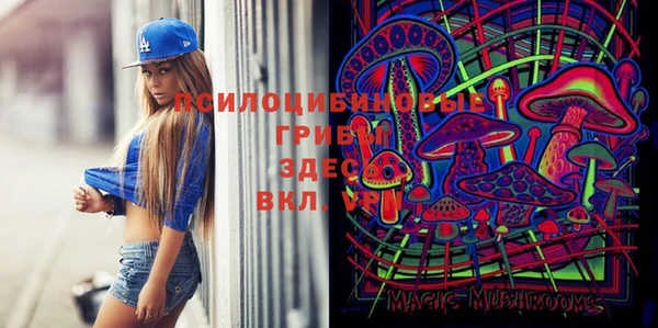 шишки Алзамай