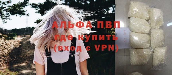 шишки Алзамай