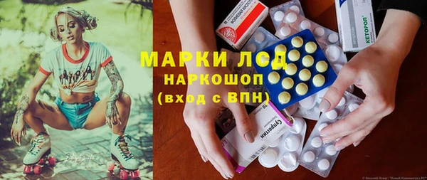 шишки Алзамай
