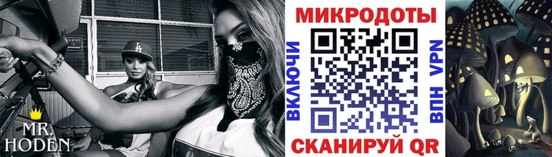 Галлюциногенные грибы Psilocybe  Богородицк 